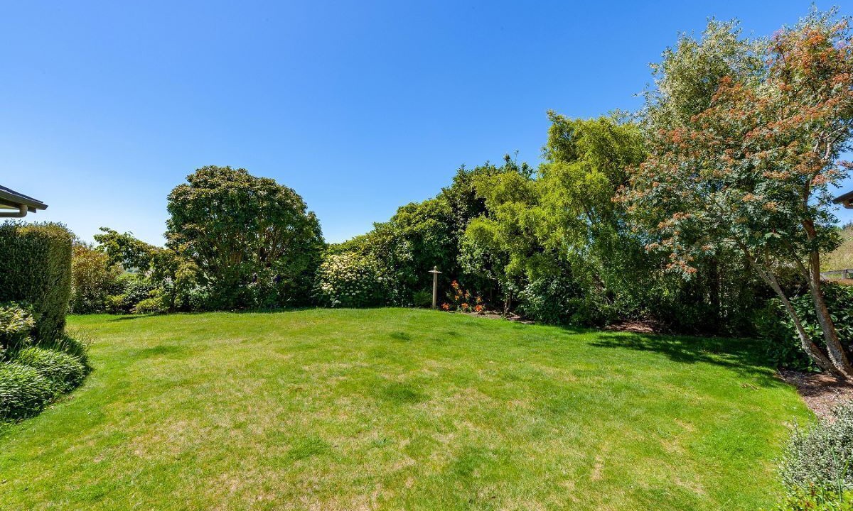 Photo of Others in Acacia Bay