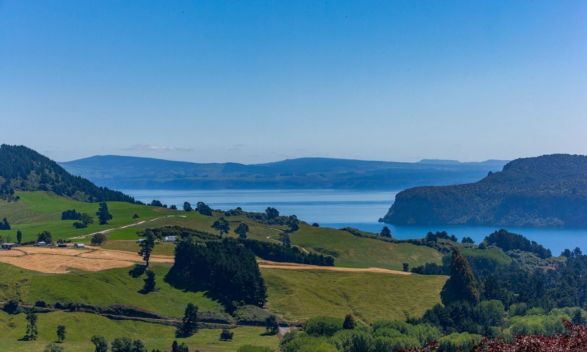 Photo of Others in Acacia Bay