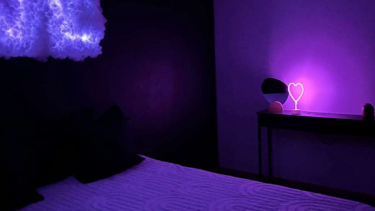 Photo of Bedroom in Pierre-Benite