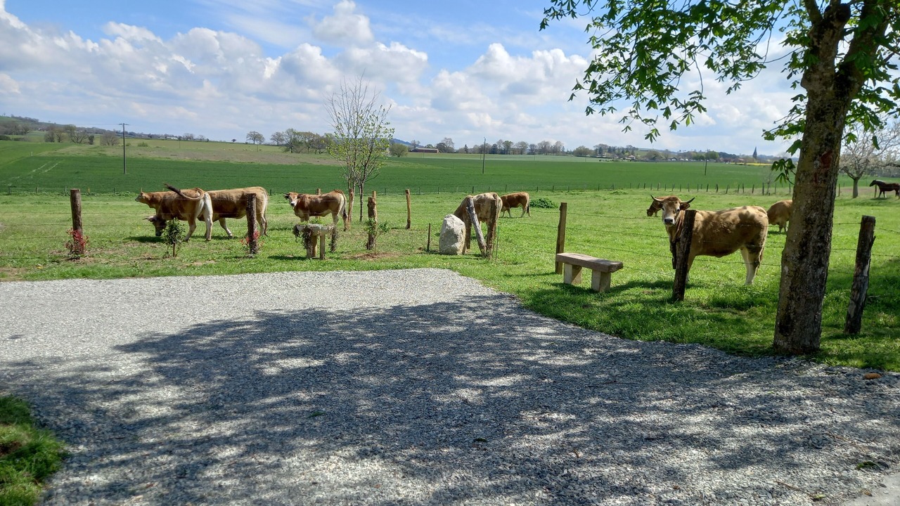 Photo of Others in Saint-Jean-de-Marcel