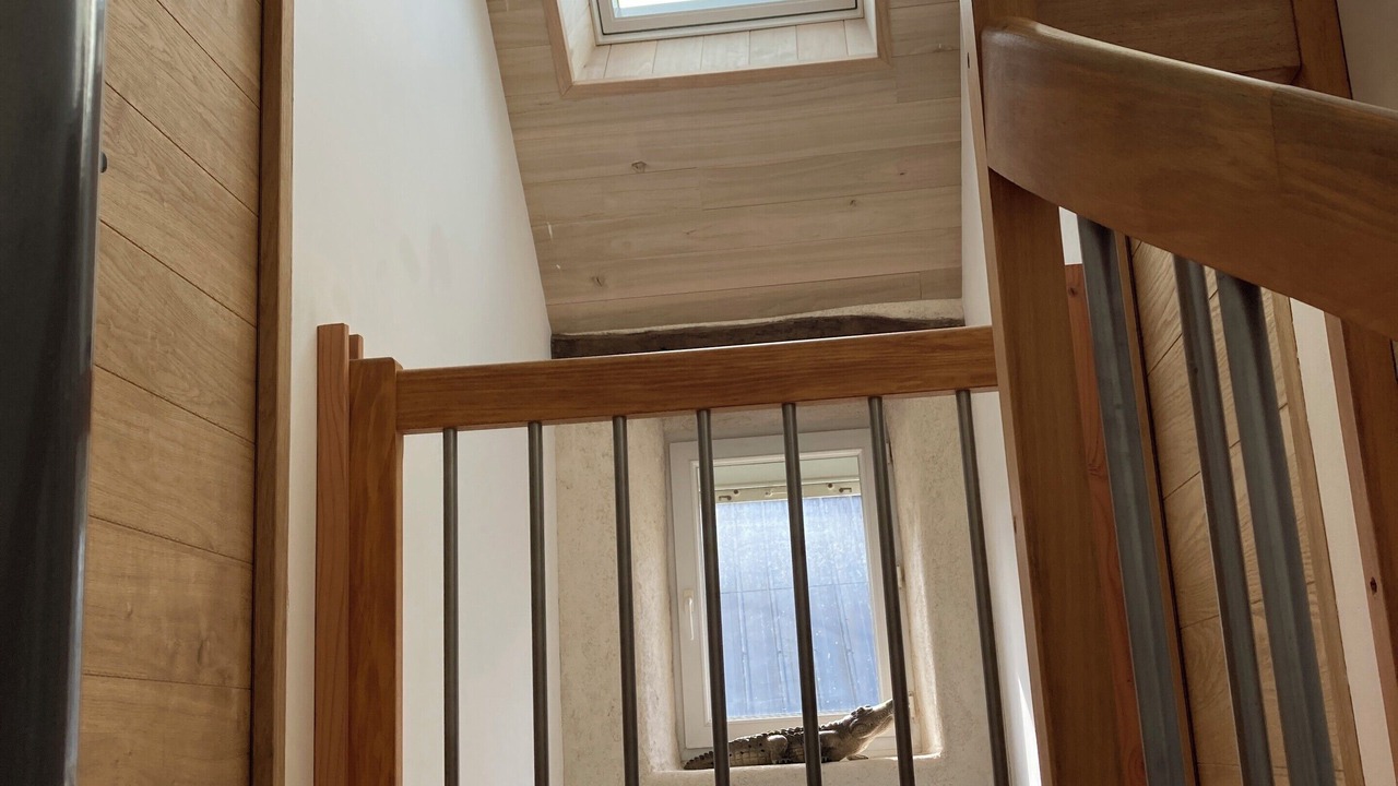 Photo of Others in Berrien