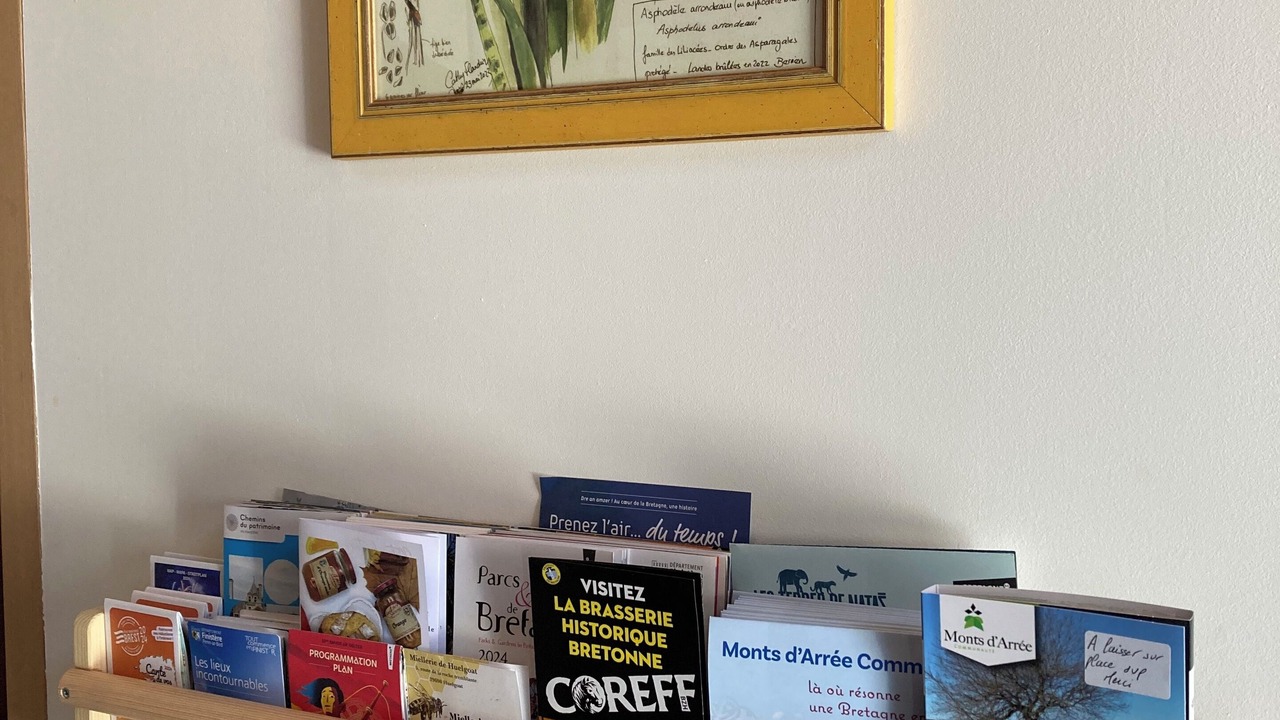 Photo of Others in Berrien