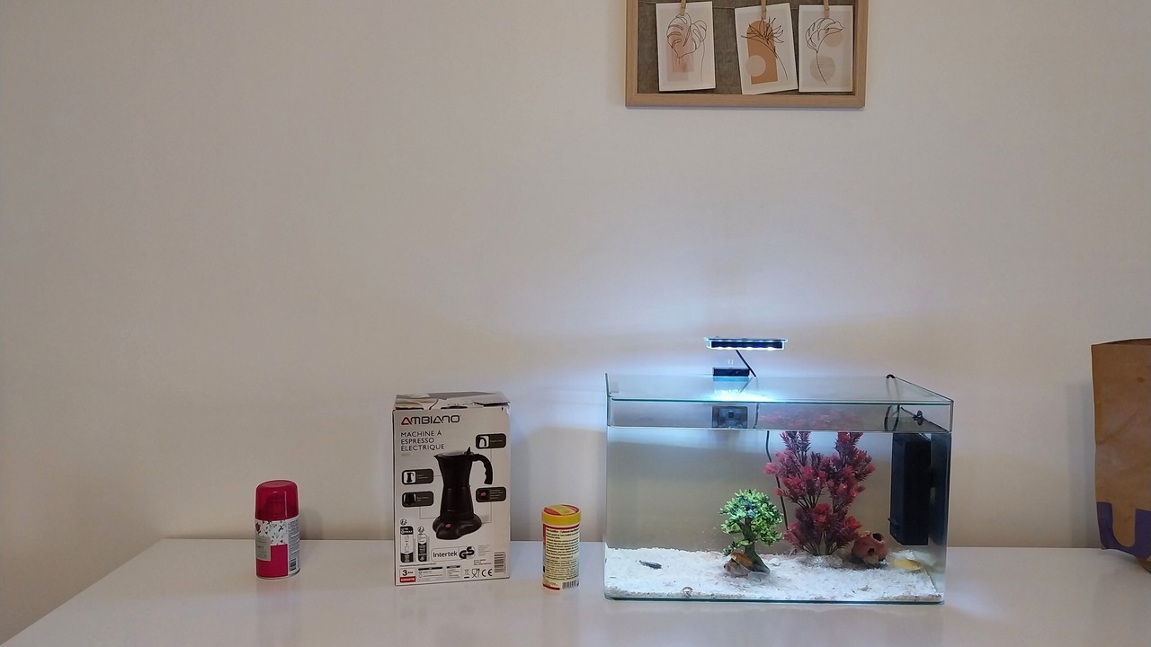 Photo of Others in Saint-Bris-le-Vineux