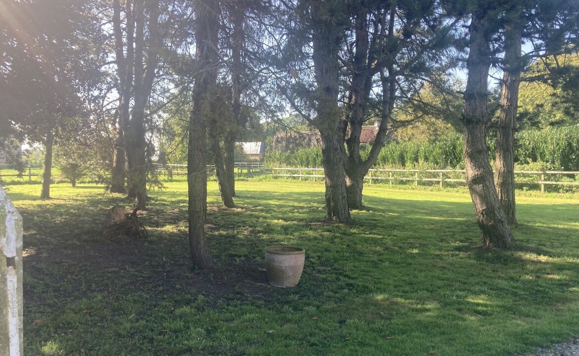 Photo of Outdoor in Pleine-Seve