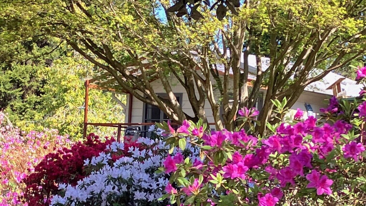 Photo of Outdoor in Mountain Lagoon