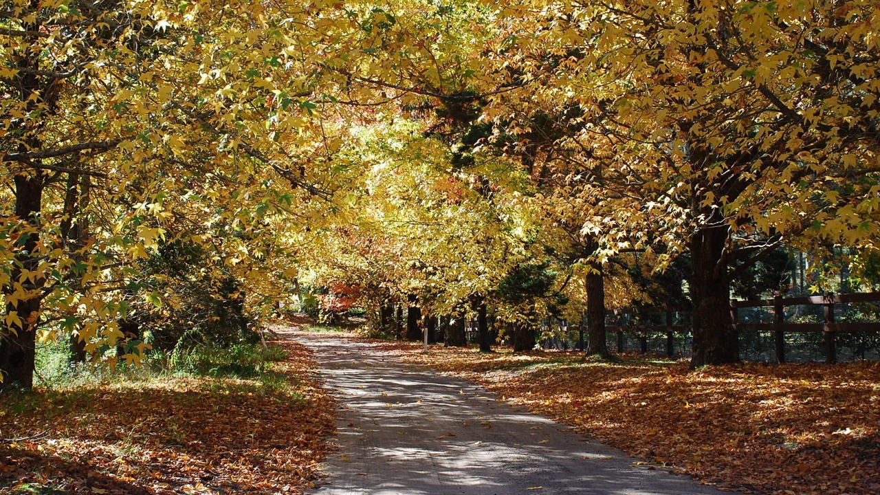 Photo of Outdoor in Mountain Lagoon