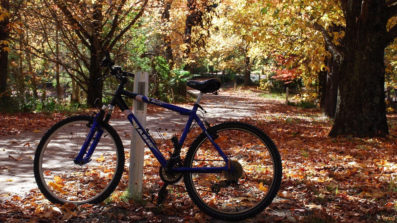 Photo of Outdoor in Mountain Lagoon