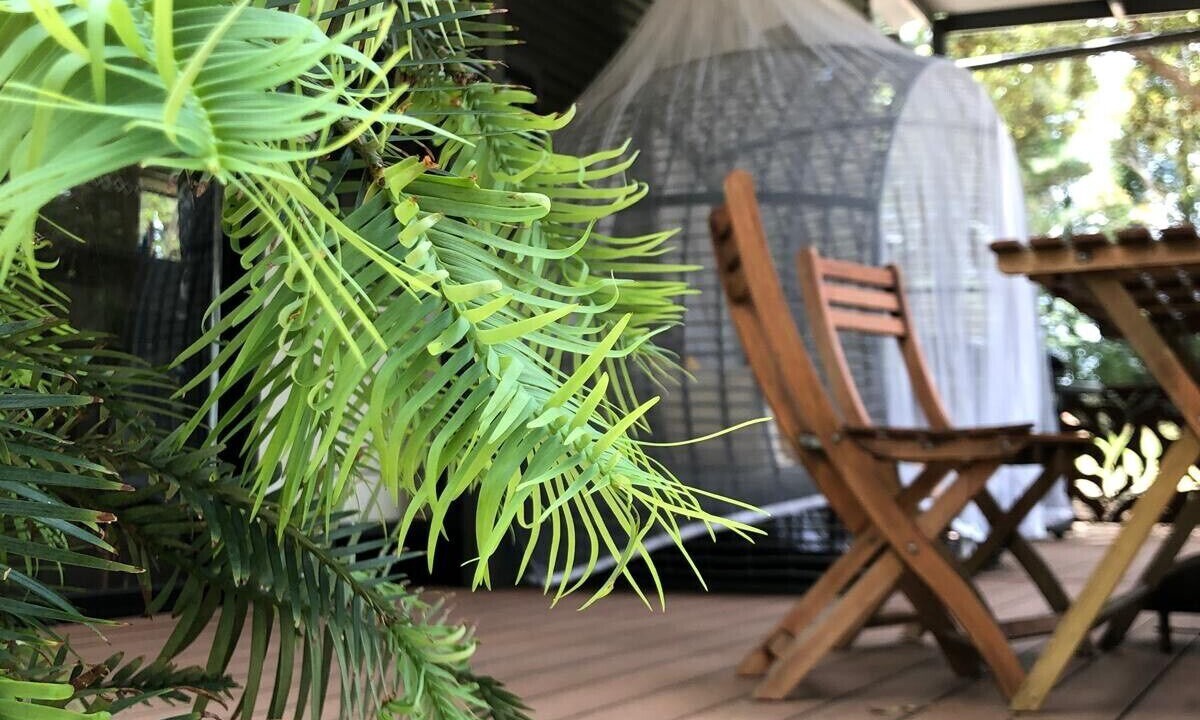 Photo of Outdoor in Mountain Lagoon