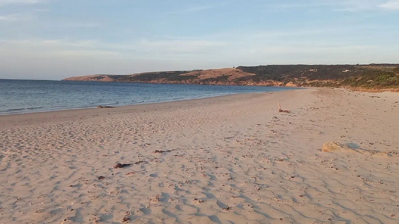 Photo of Others in Dudley West