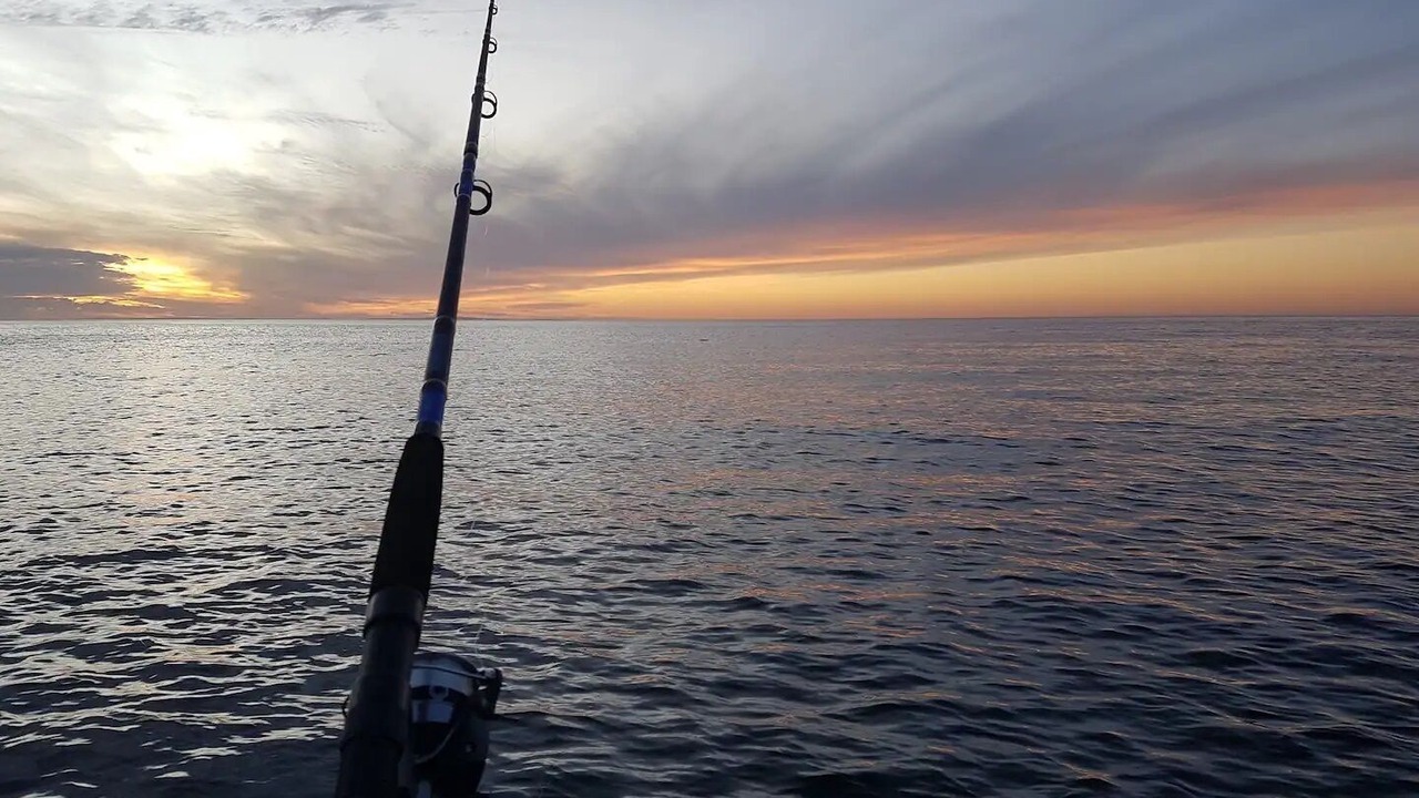 Photo of Others in Dudley West