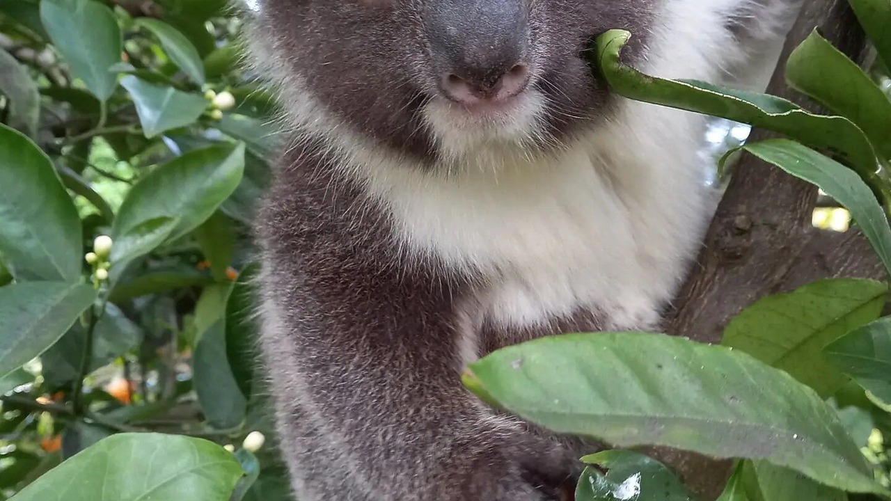 Photo of Others in Dudley West