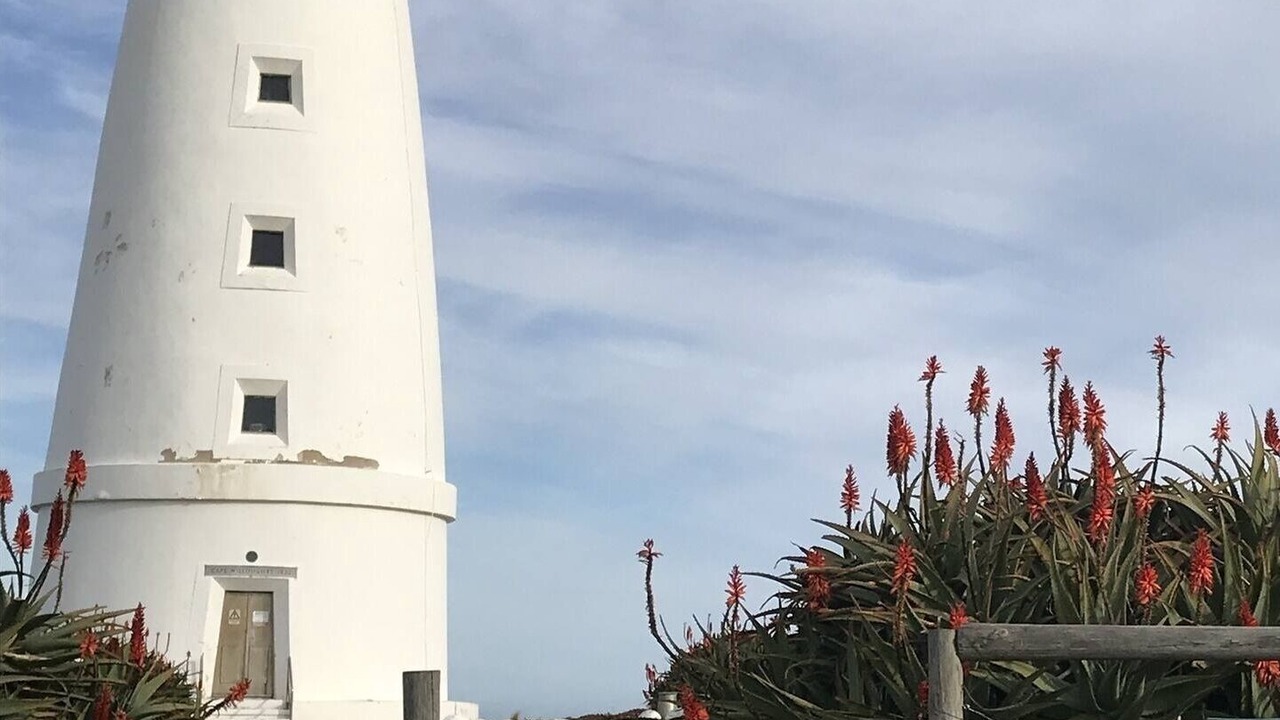 Photo of Others in Dudley West