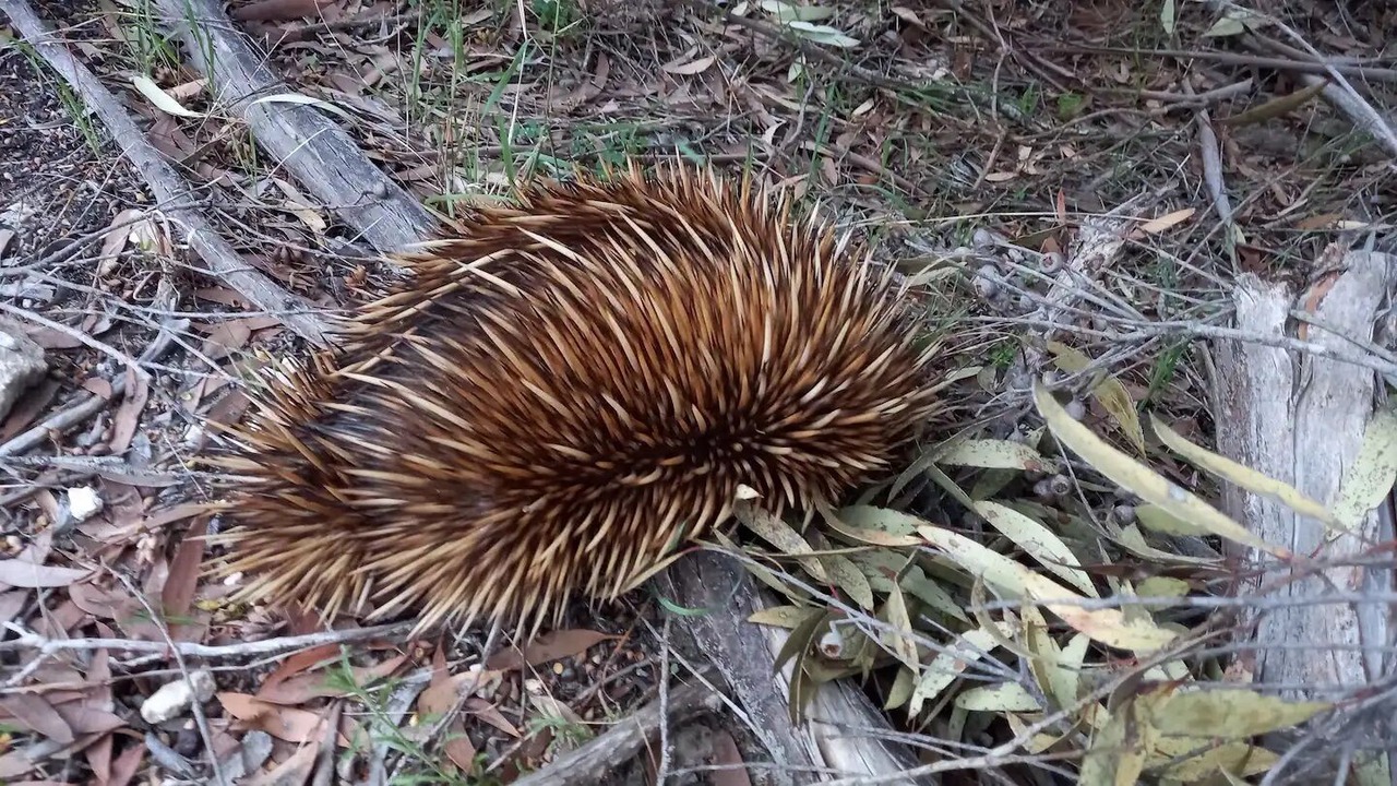 Photo of Others in Dudley West