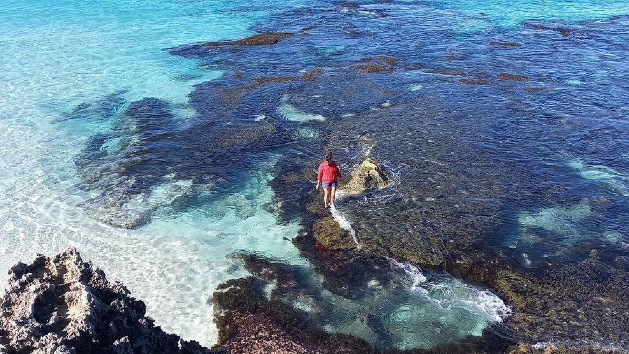 Photo of Others in Dudley West