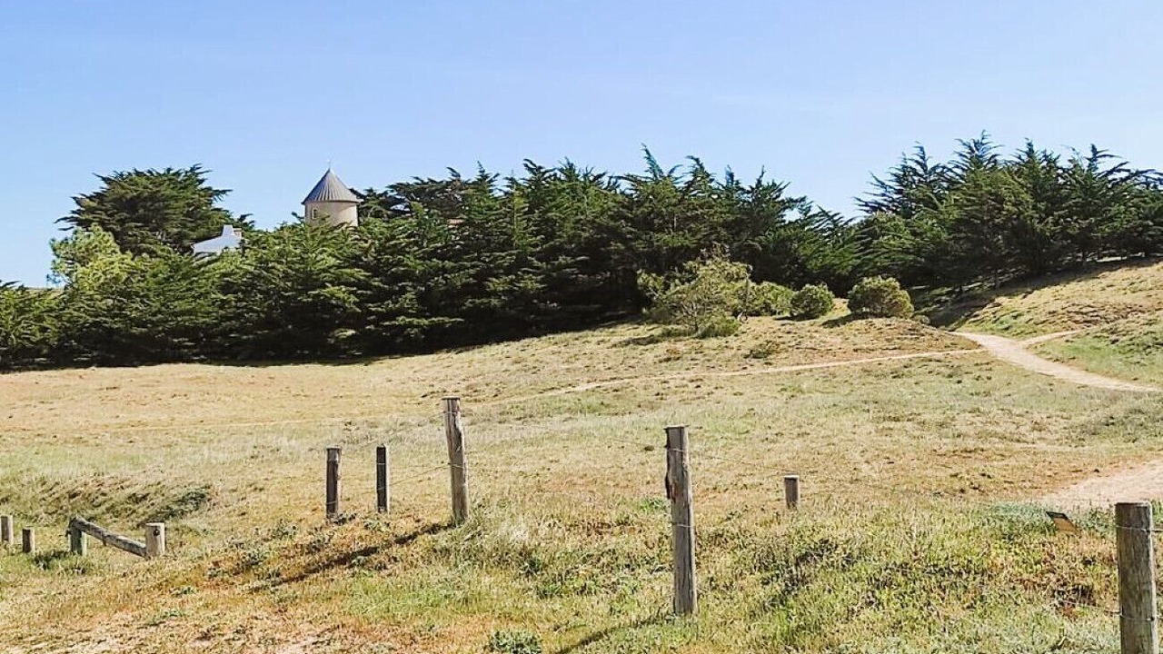 Photo of Others in Barbatre