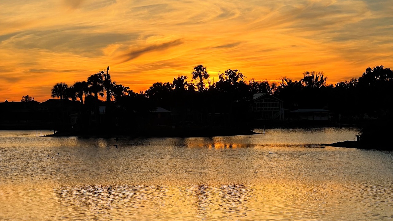 Photo of Others in Crystal River