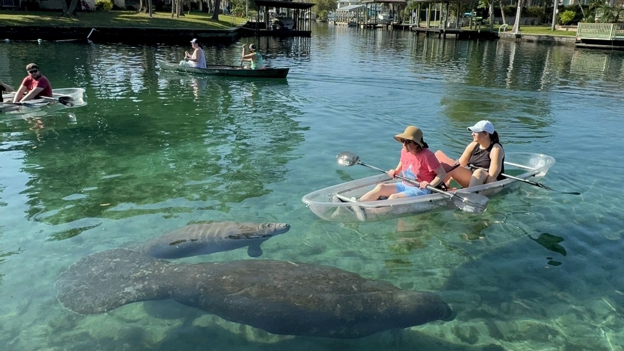 Photo of Others in Crystal River