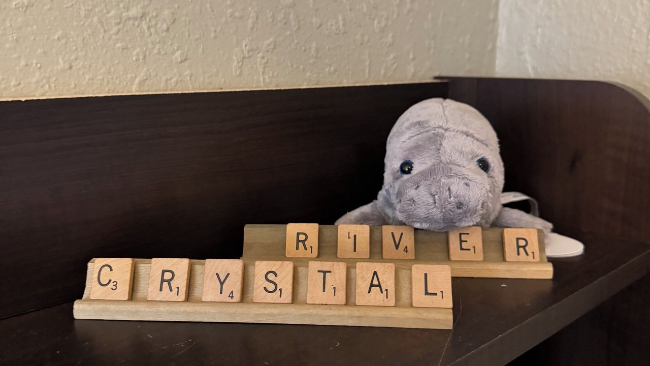 Photo of Others in Crystal River