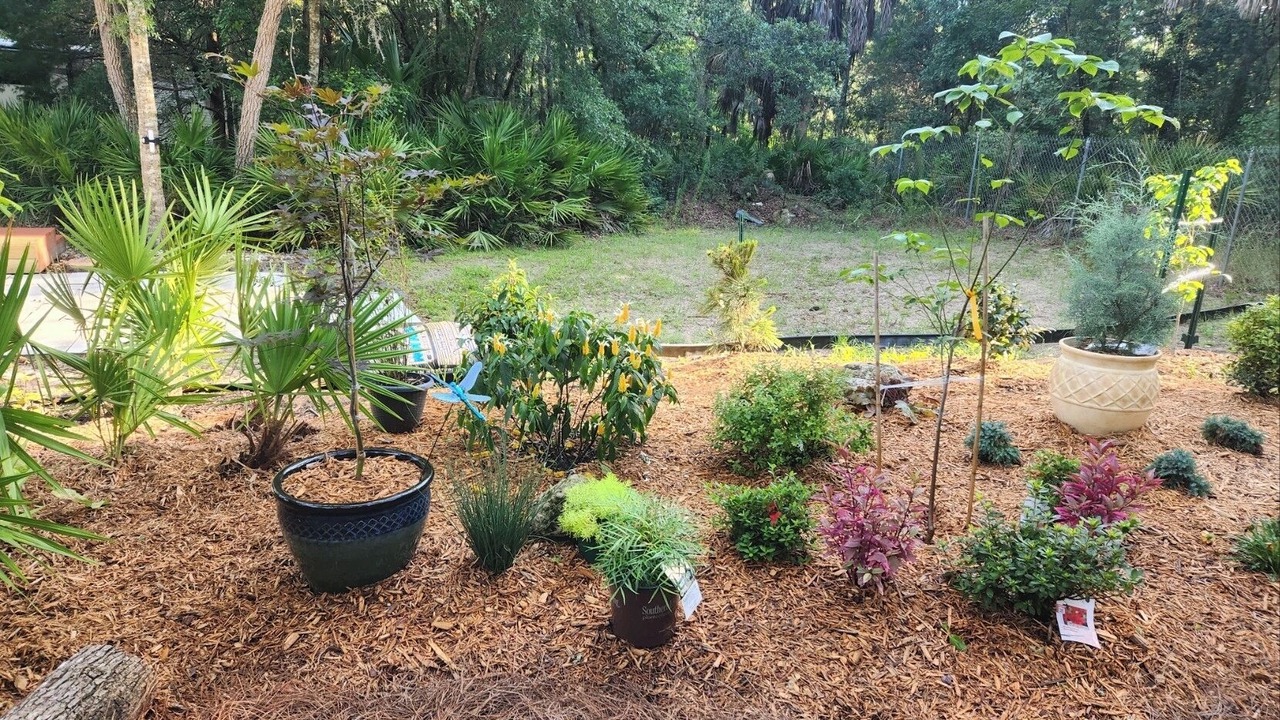 Photo of Outdoor in Citrus County