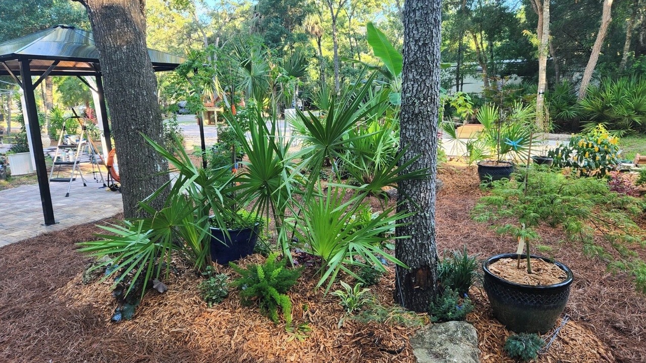 Photo of Outdoor in Citrus County