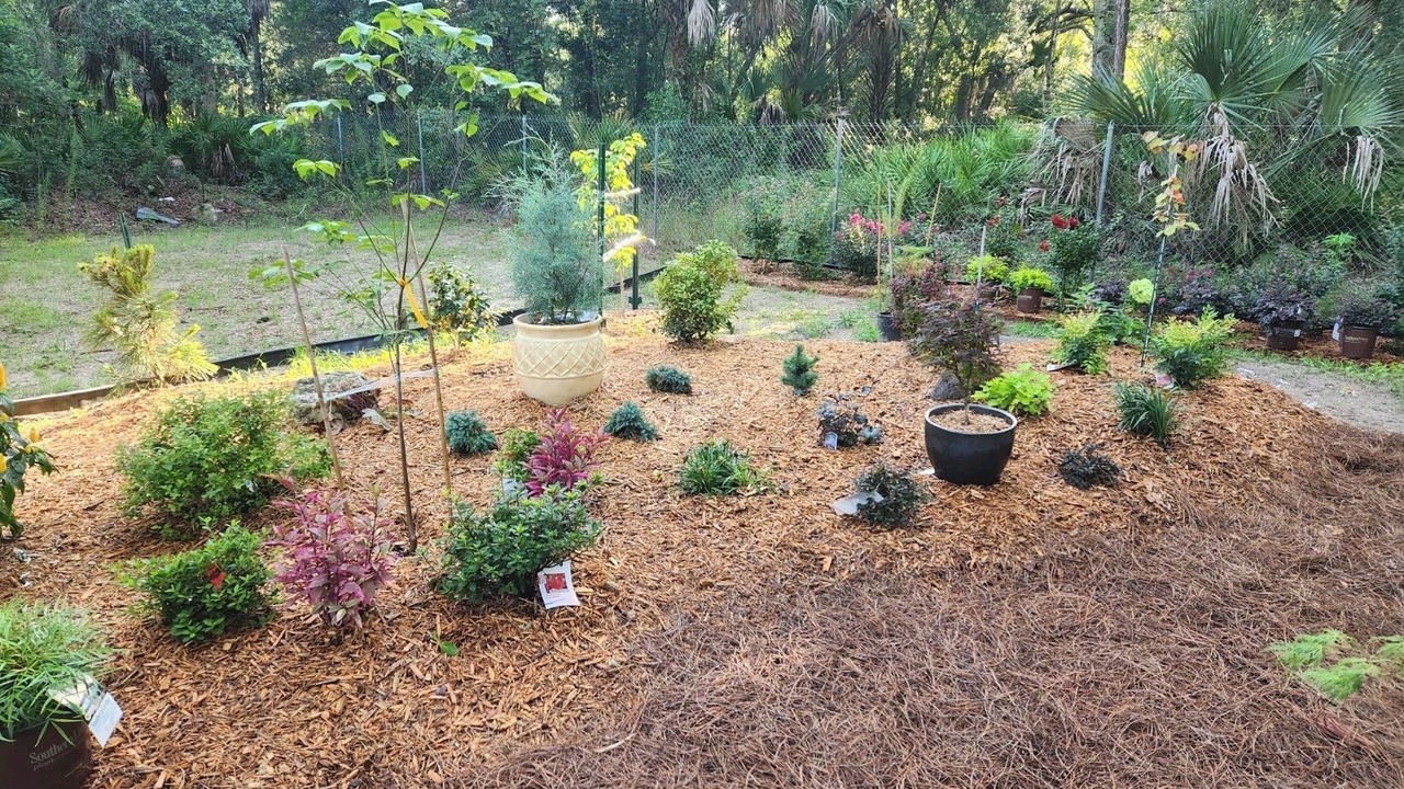 Photo of Outdoor in Citrus County