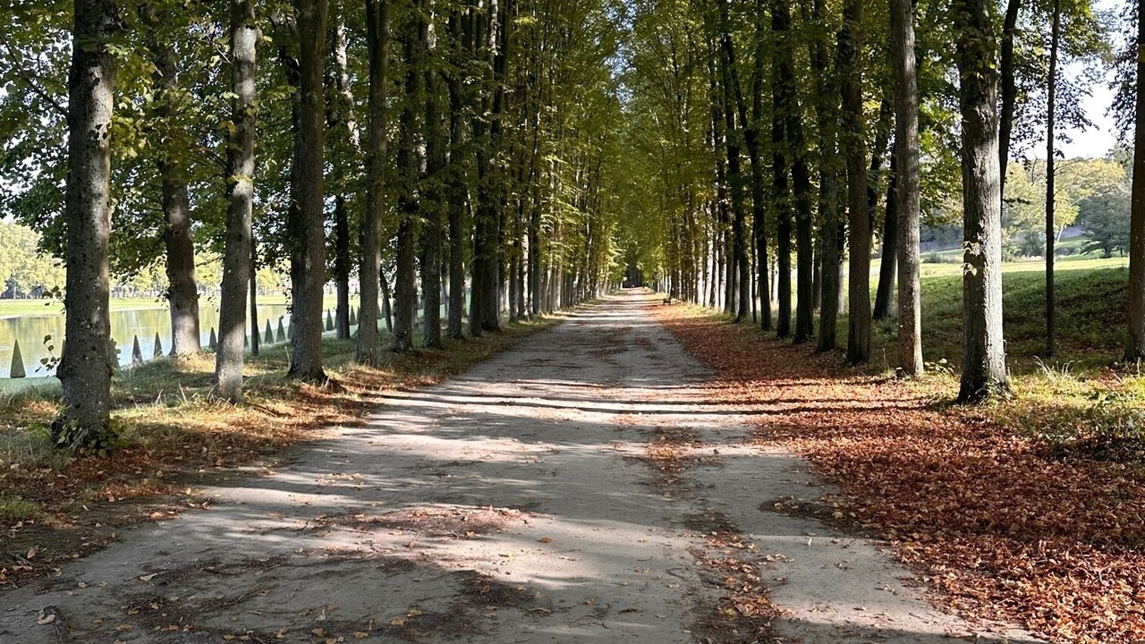 Photo of Outdoor in Marly-le-Roi