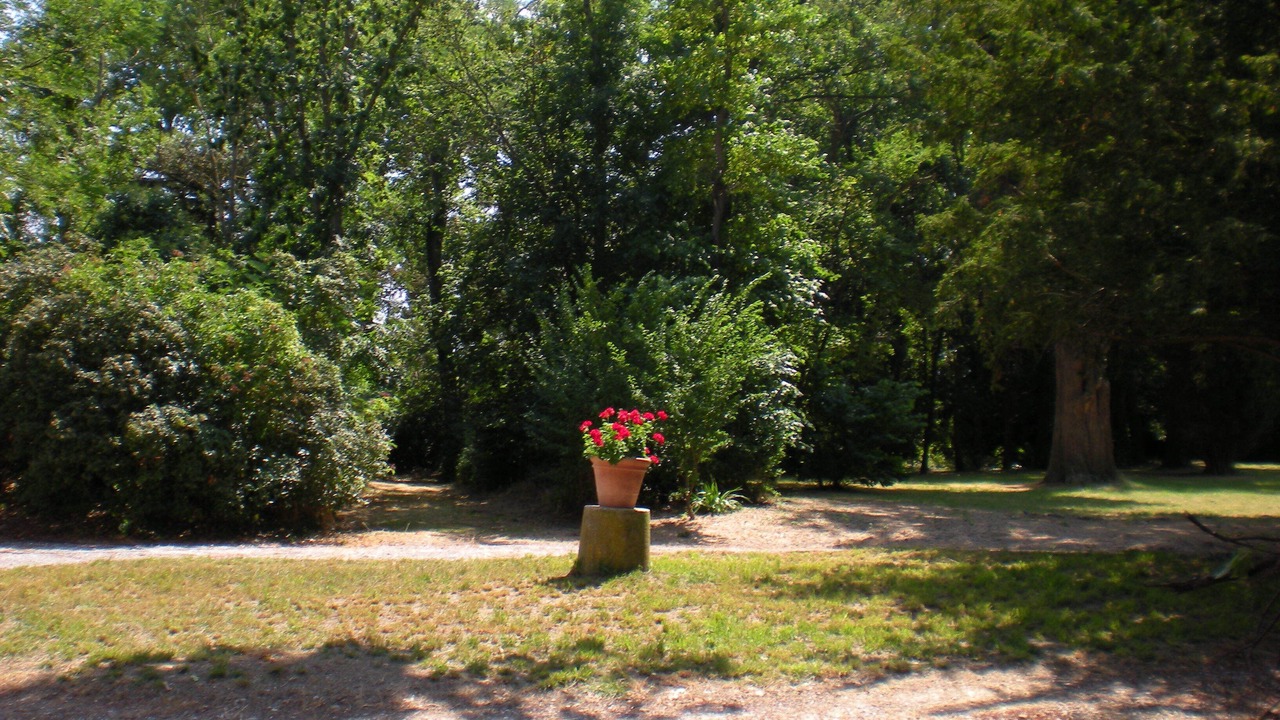 Photo of Outdoor in Ferran