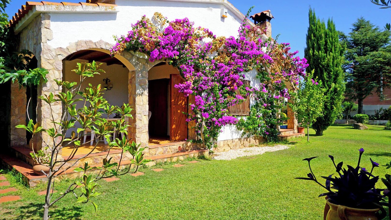Photo of Outdoor in Pelacalc