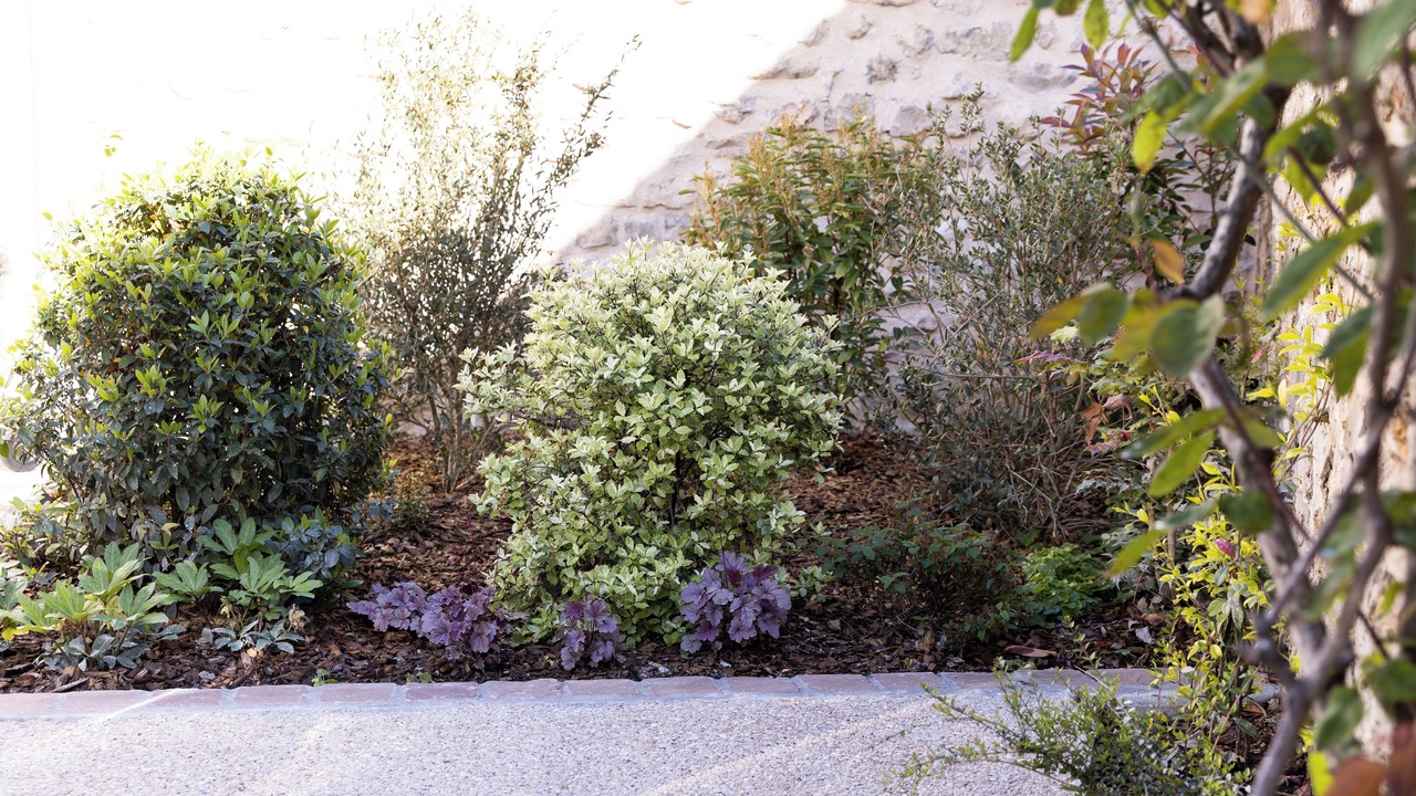 Photo of Outdoor in Marly-le-Roi