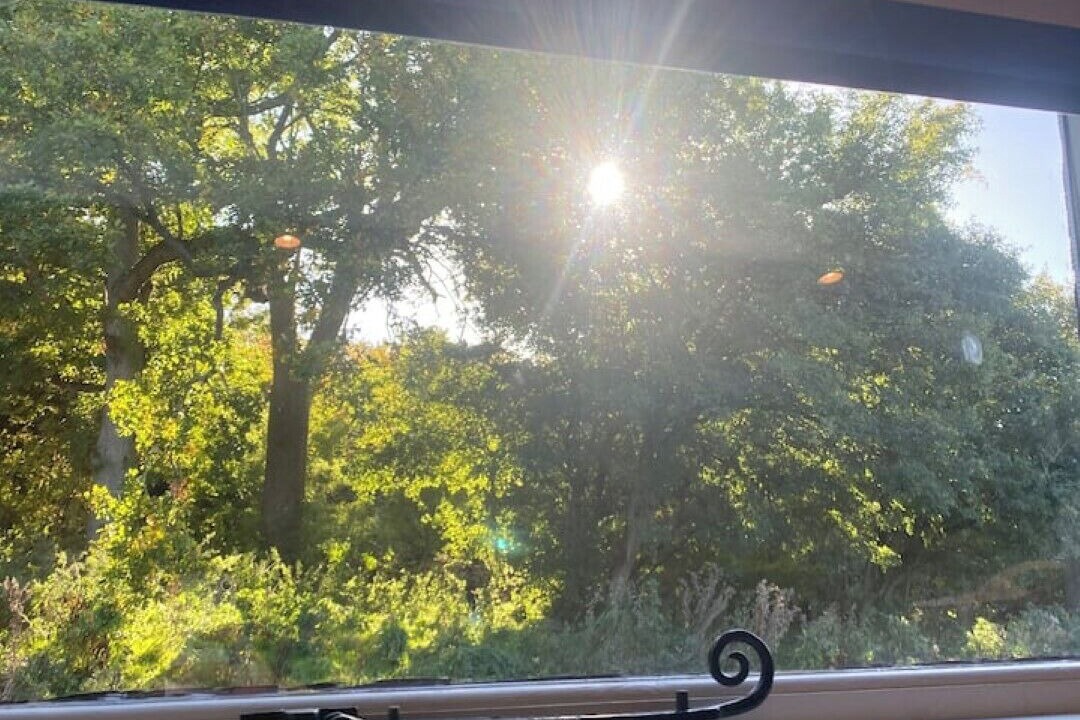 Photo of Others in Wichling