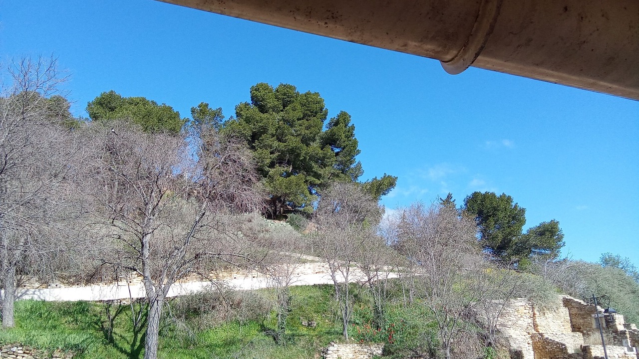 Photo of Outdoor in Pujaut
