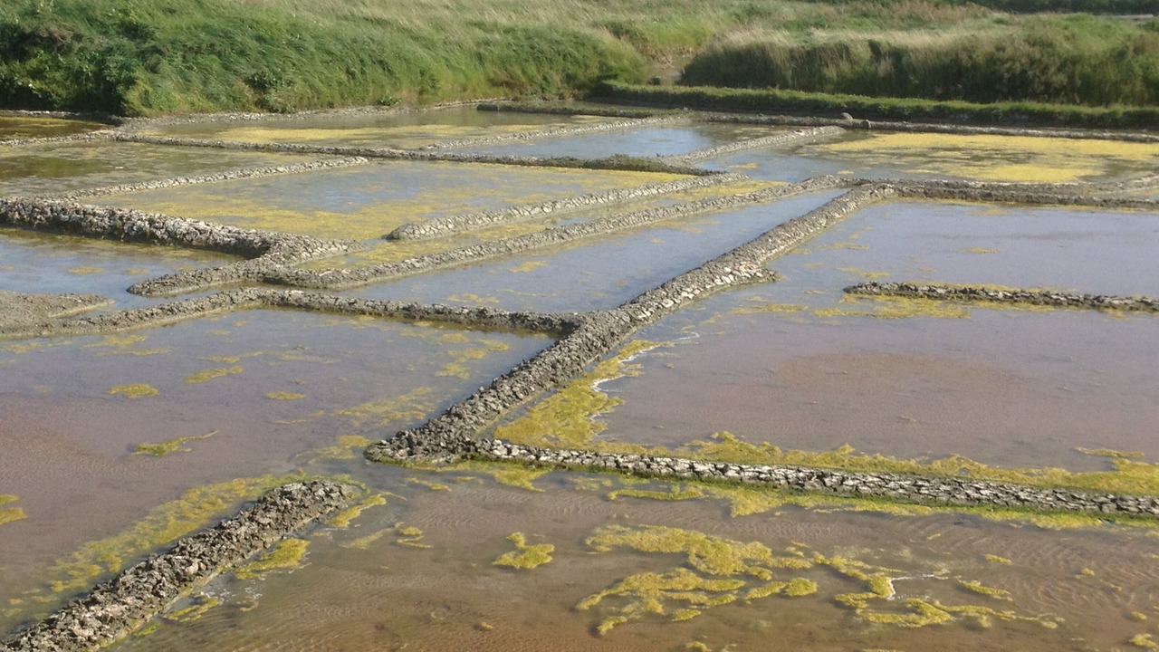 Photo of Others in Batz-sur-Mer