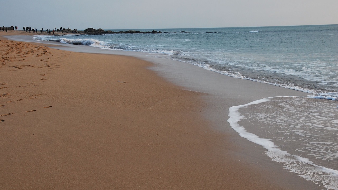 Photo of Others in Batz-sur-Mer