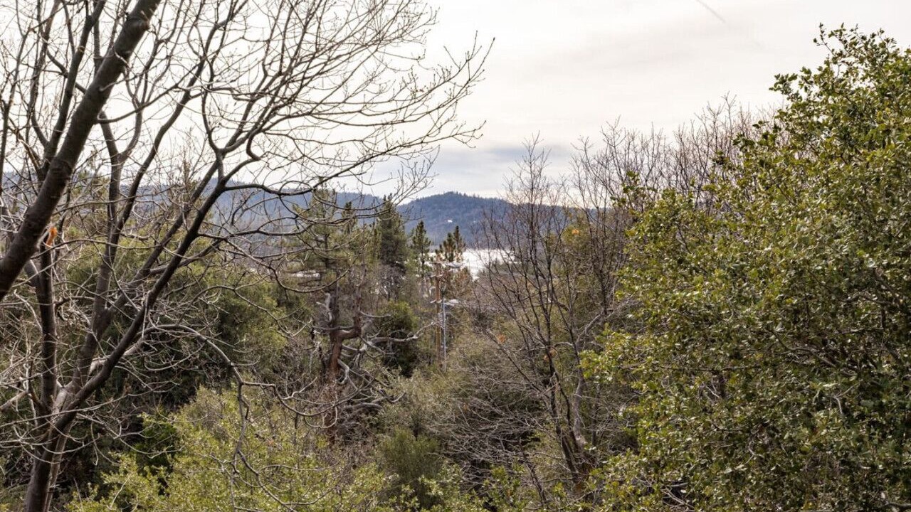 Photo of Others in Lake Arrowhead