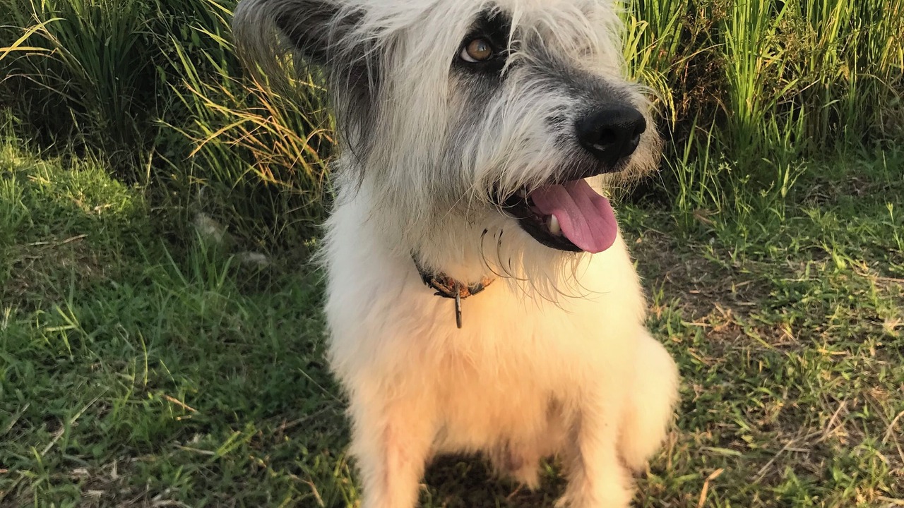 Photo of Others in Air Hangat