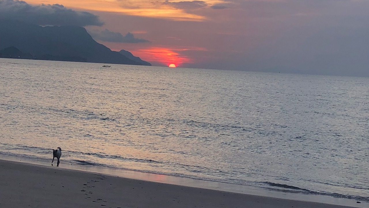 Photo of Others in Air Hangat