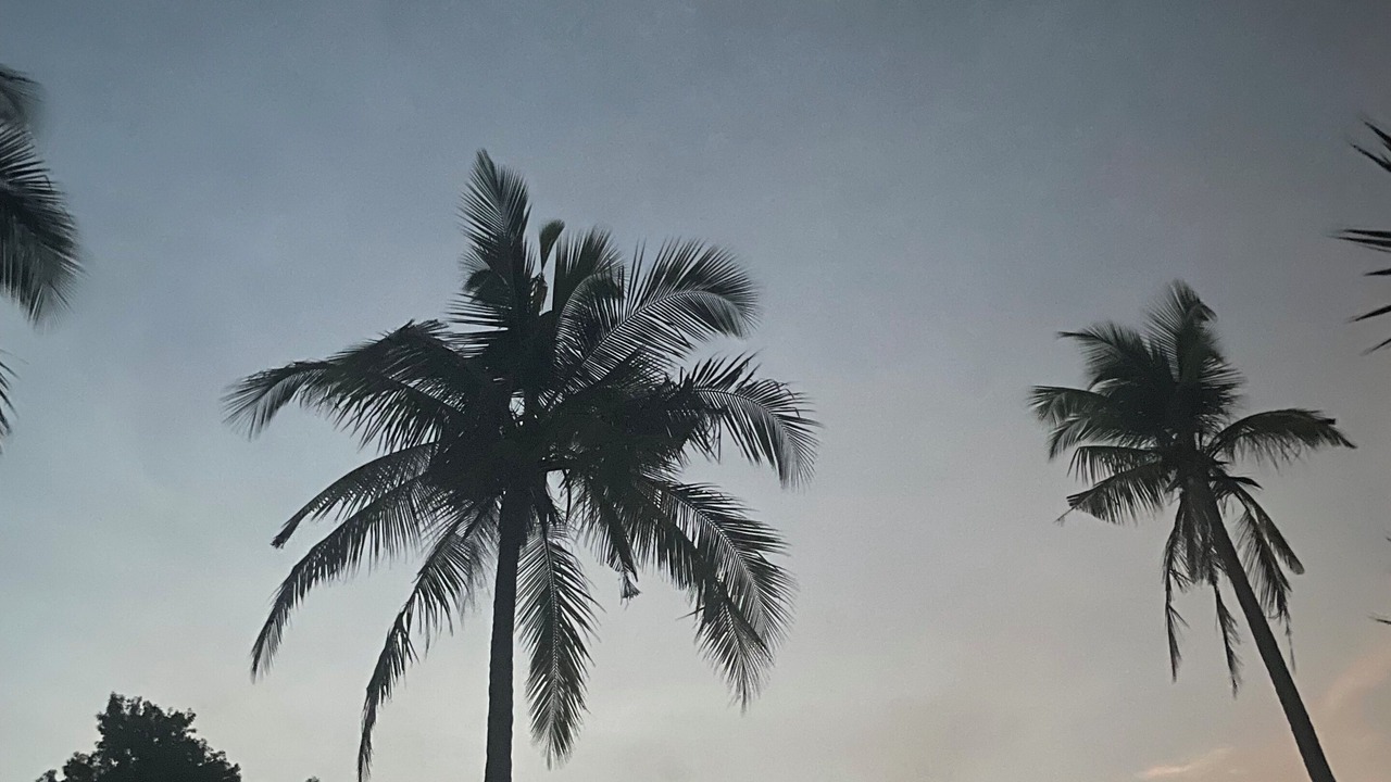 Photo of Others in Air Hangat