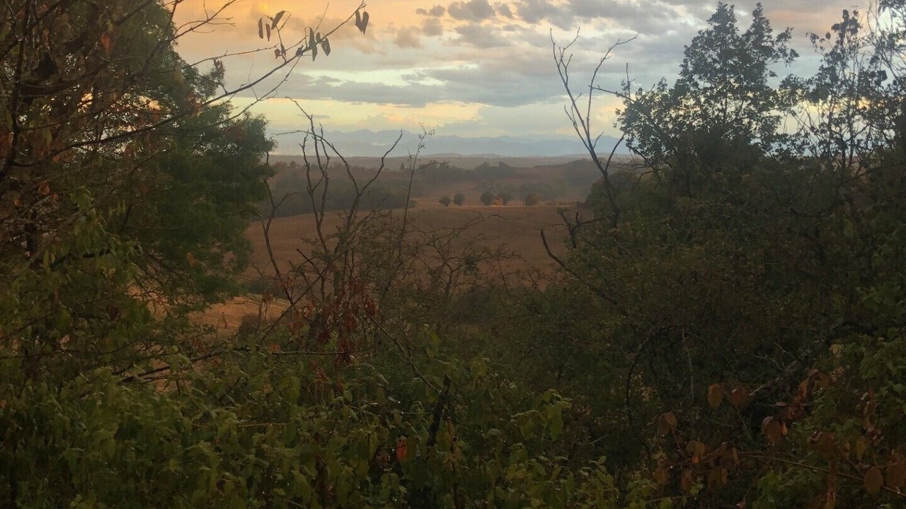Photo of Outdoor in Sajas