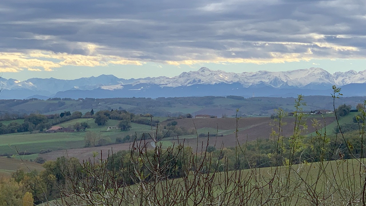 Photo of Outdoor in Sajas