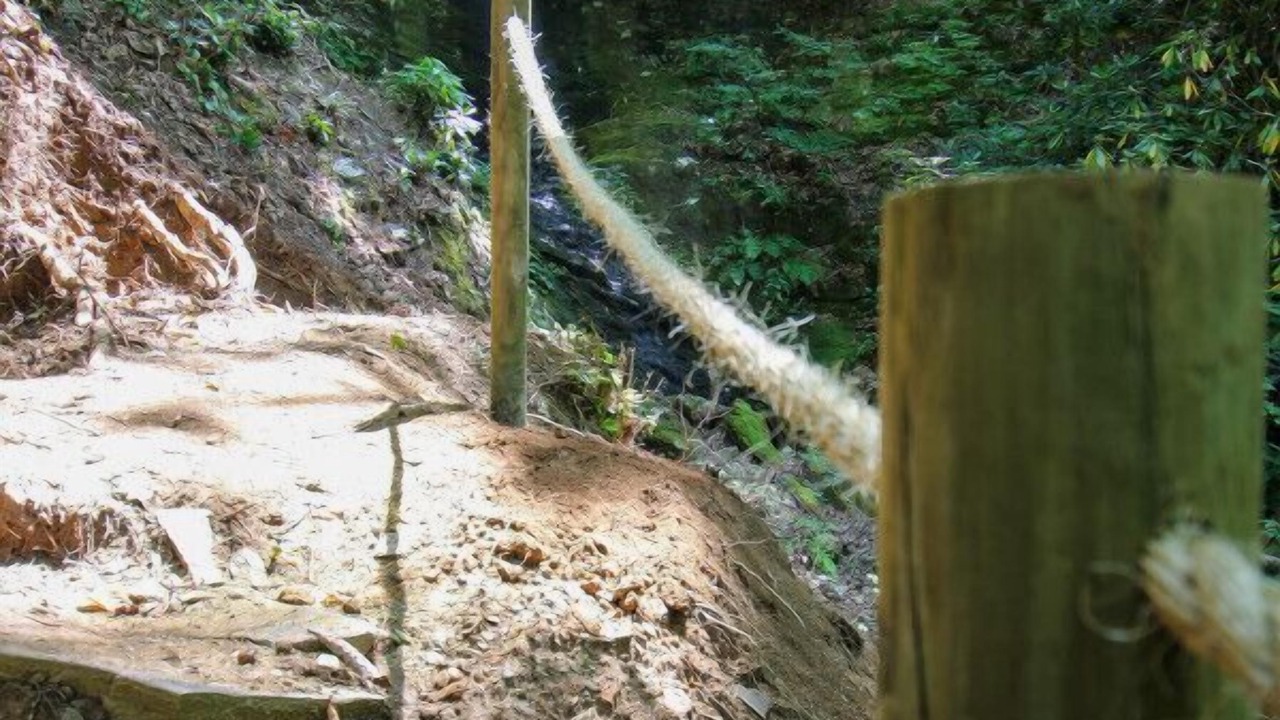Photo of Others in West Jefferson