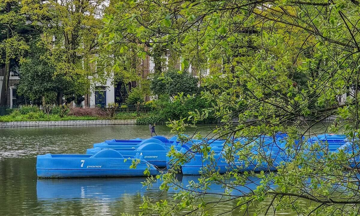 Photo of Others in Anerley