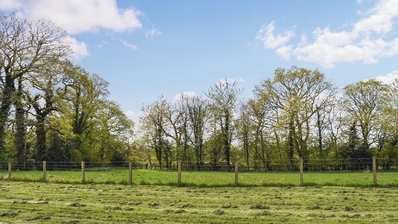 Photo of Others in Wennington