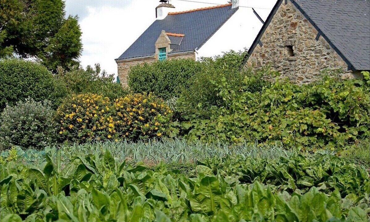 Photo of Outdoor in Arzal