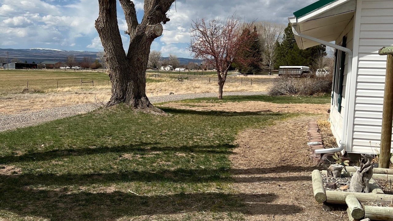 Photo of Outdoor in Lyman