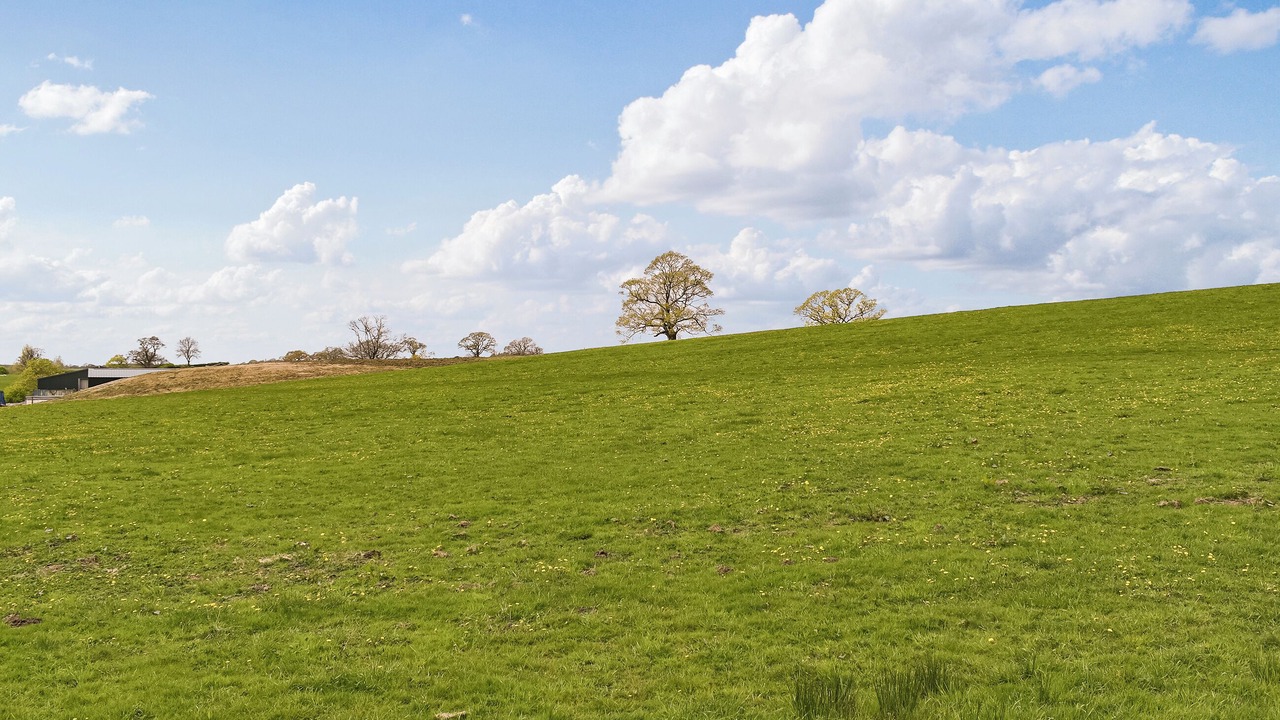 Photo of Others in Wennington