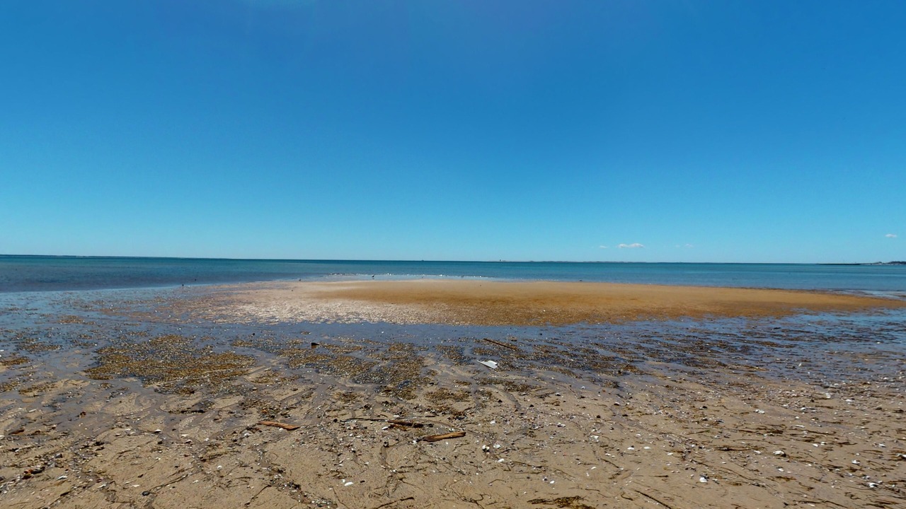 Photo of Others in Provincetown