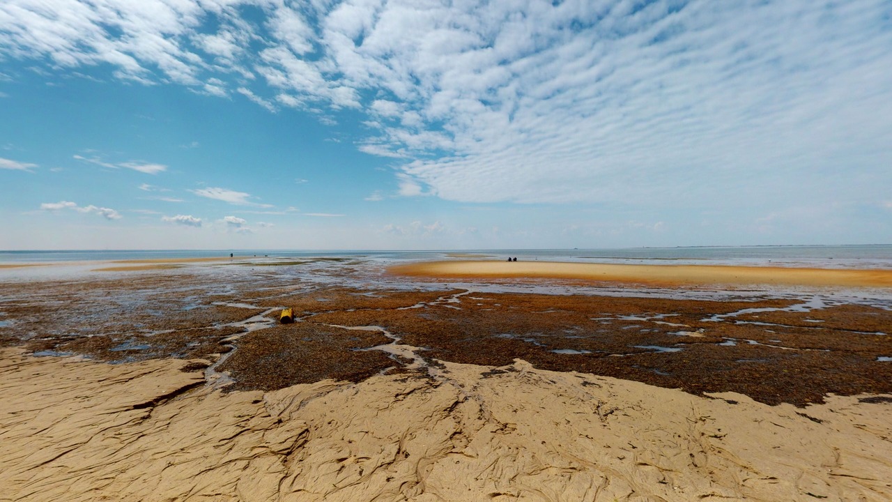 Photo of Others in Provincetown