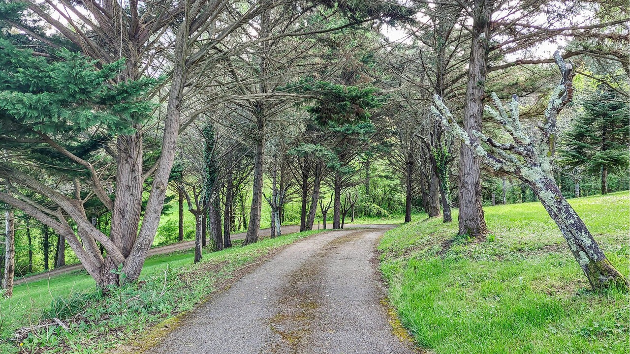 Photo of Others in Prayssas