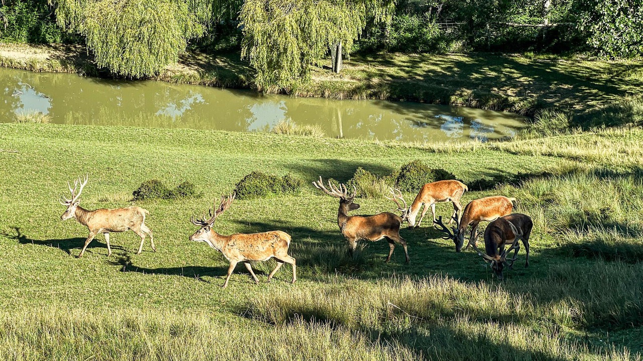 Photo of Others in Prayssas