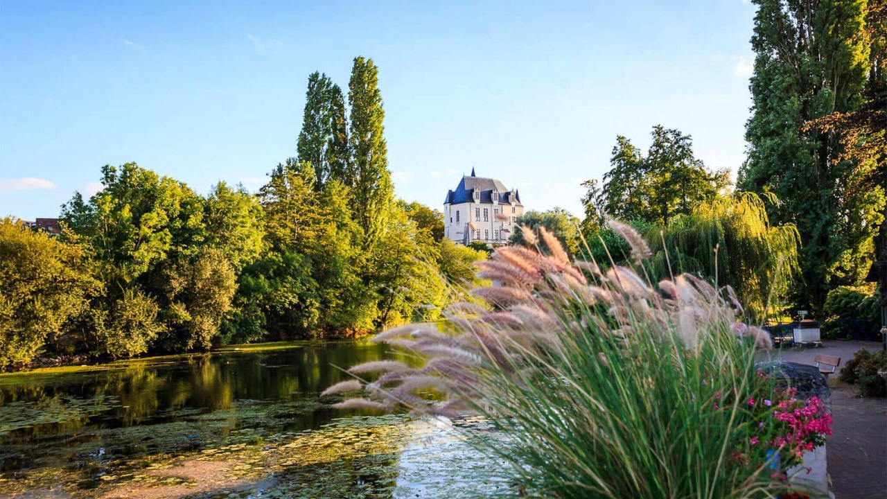 Photo of Others in Thenay